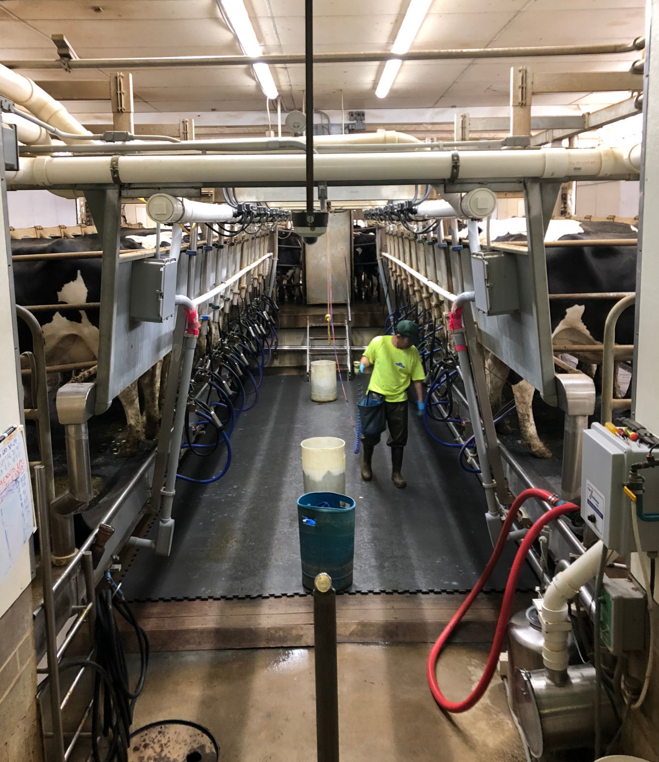 Milking parlor